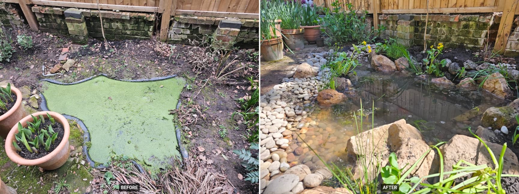 Pond transformation - before and after
