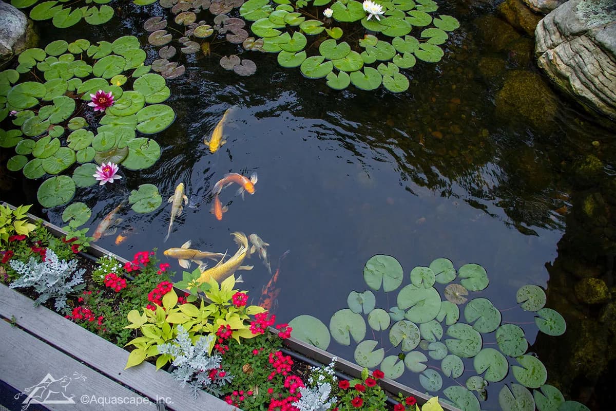 Fountain Installation - NaturesAquascapes