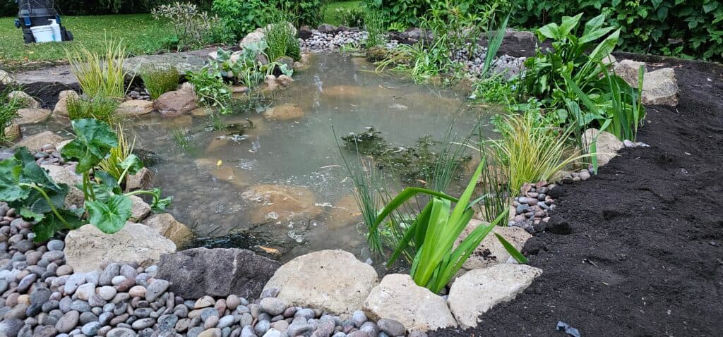 Pond maintained by NaturesAquascapes