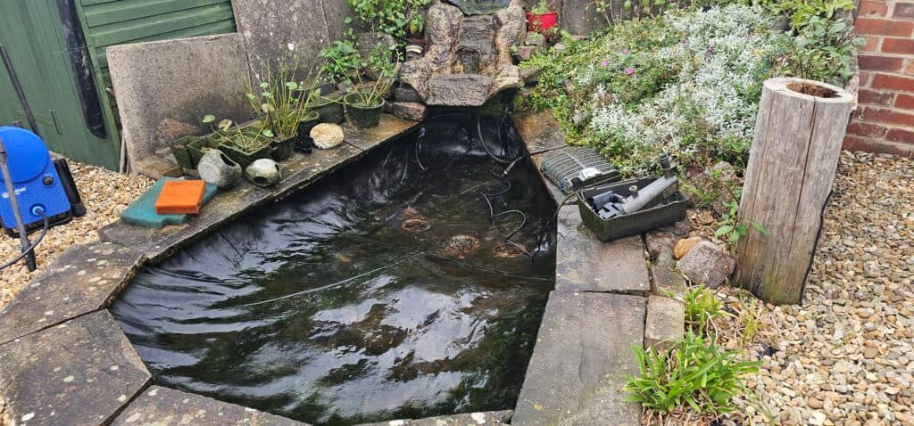 Pond cleaning service