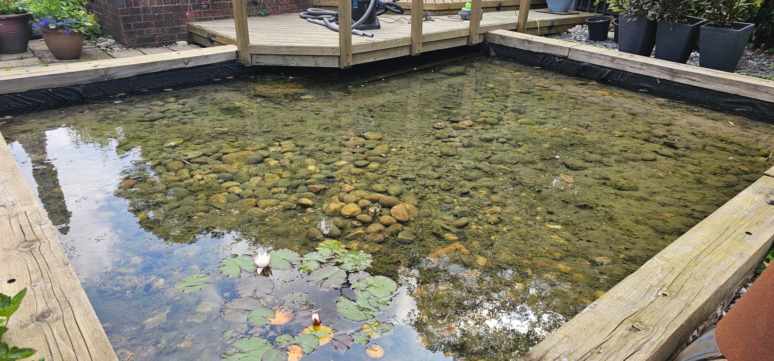 Pond Maintenance - NaturesAquascapes