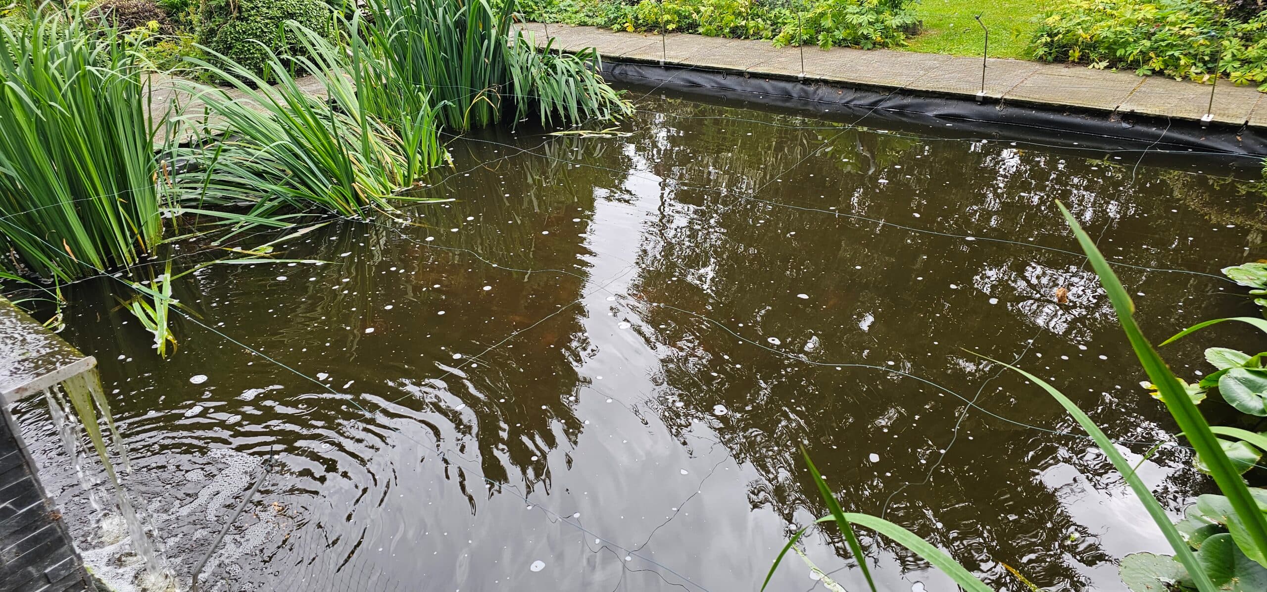 Pond Repair - NaturesAquascapes