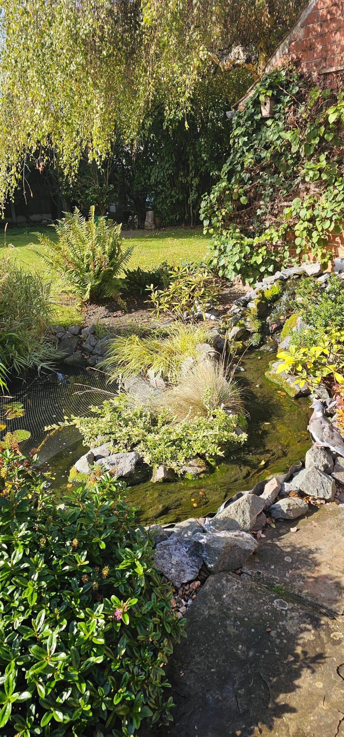 Fountain Cleaning & Maintenance - NaturesAquascapes