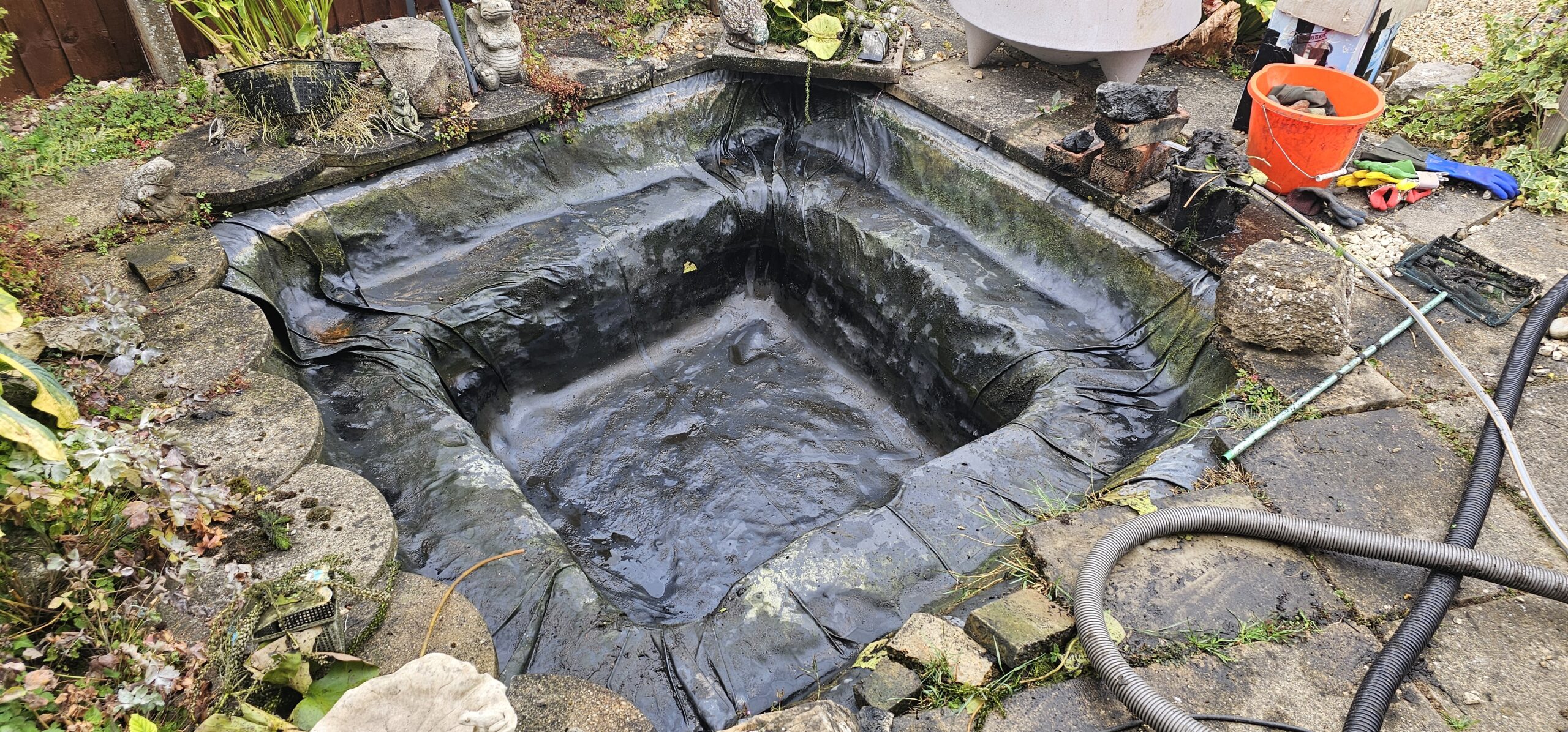 Cleaned Pond