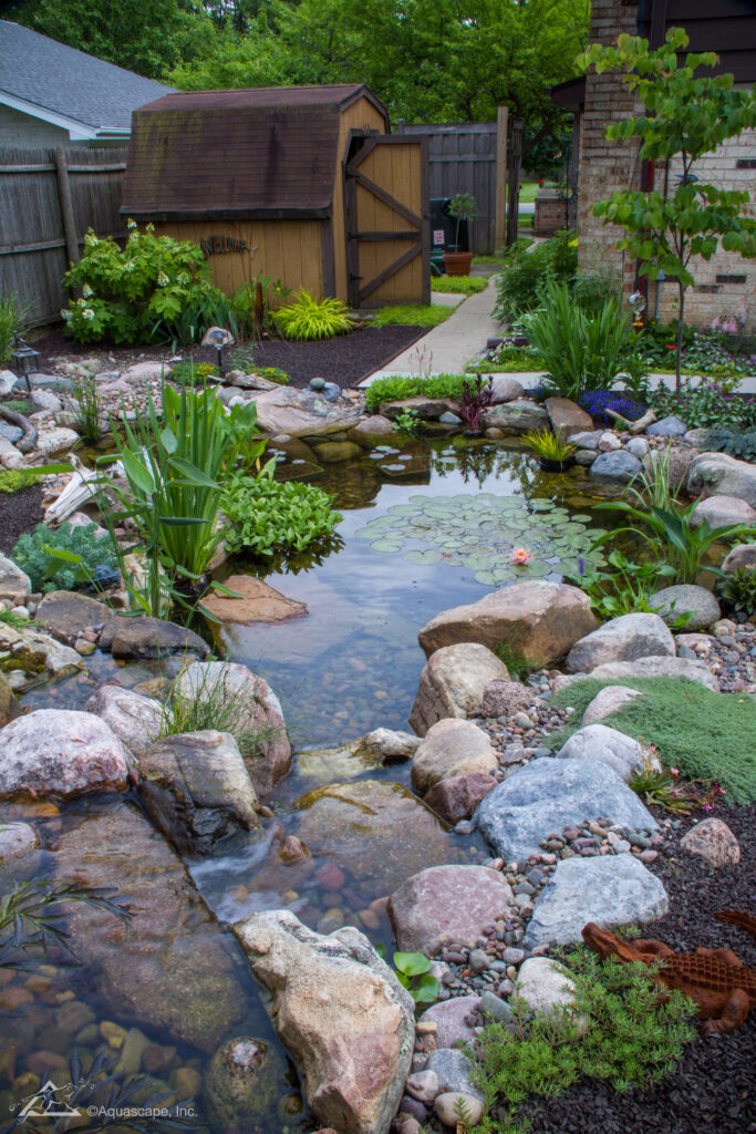 medium 11x16 pond 03