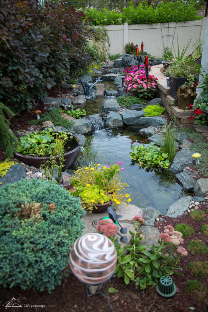 ecosystem pond 01